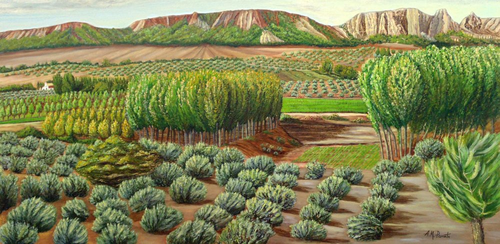  alkotó: Angeles M. Pomata