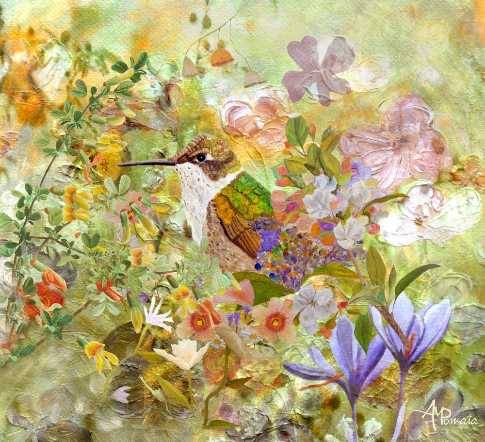  alkotó: Angeles M. Pomata