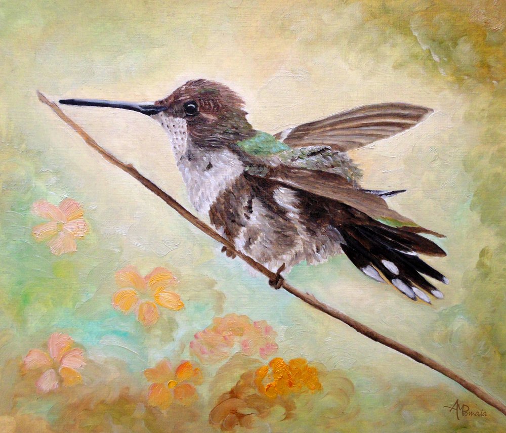  alkotó: Angeles M. Pomata