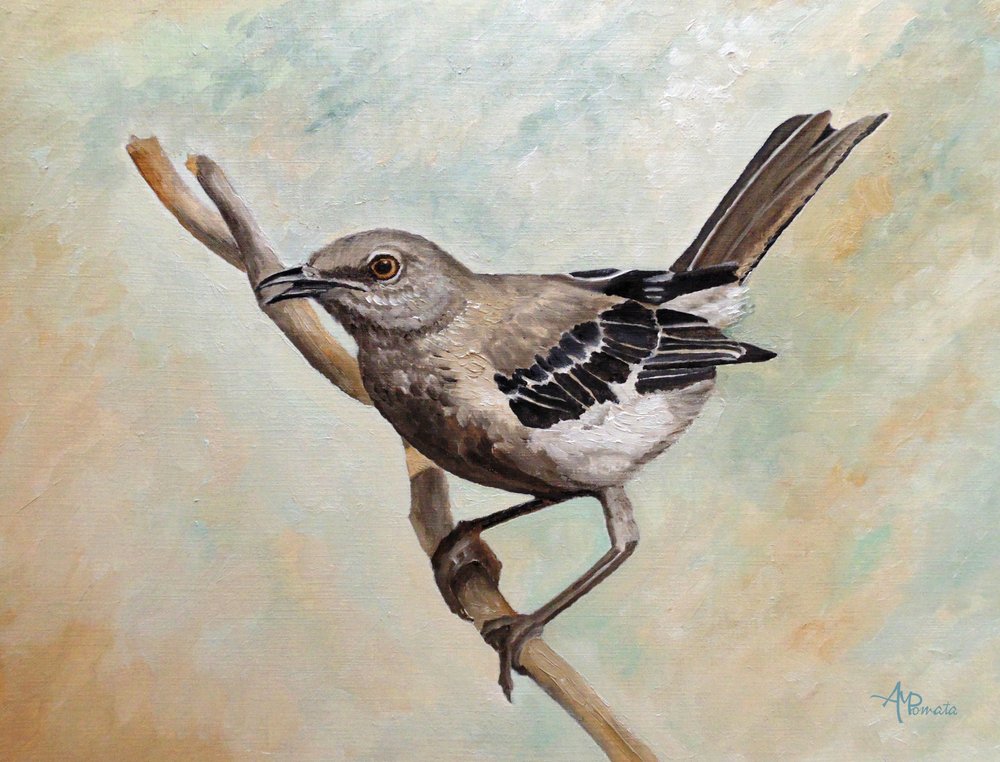  alkotó: Angeles M. Pomata