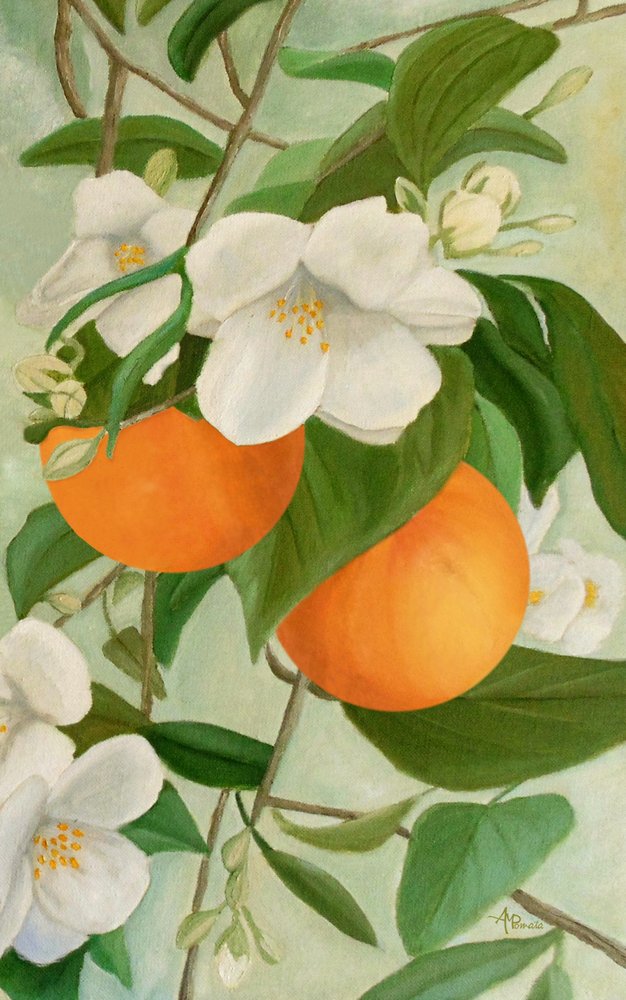  alkotó: Angeles M. Pomata