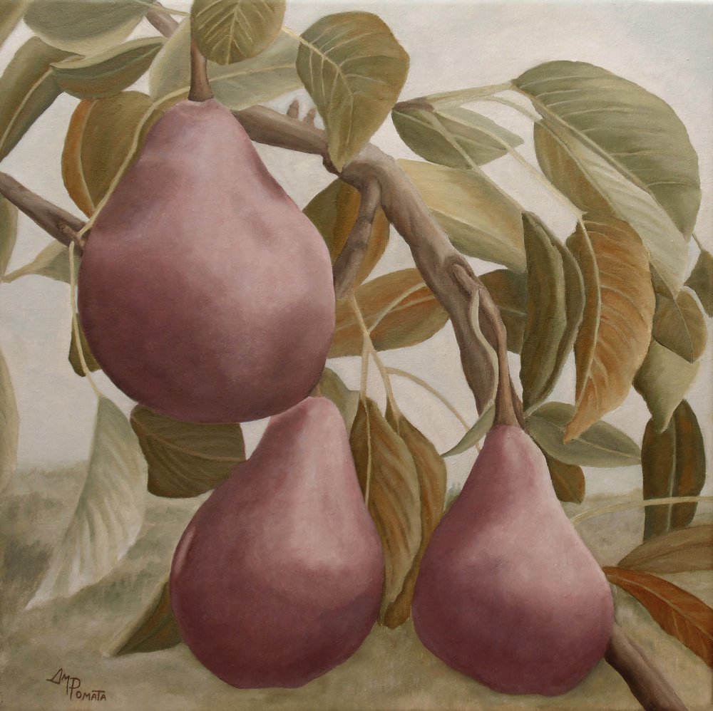  alkotó: Angeles M. Pomata