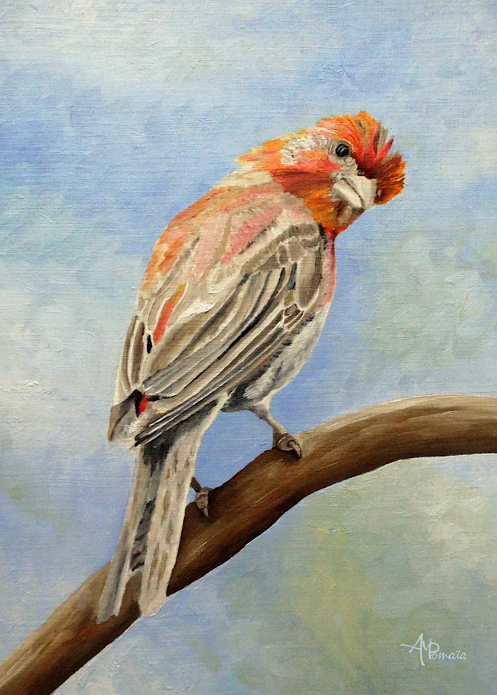  alkotó: Angeles M. Pomata