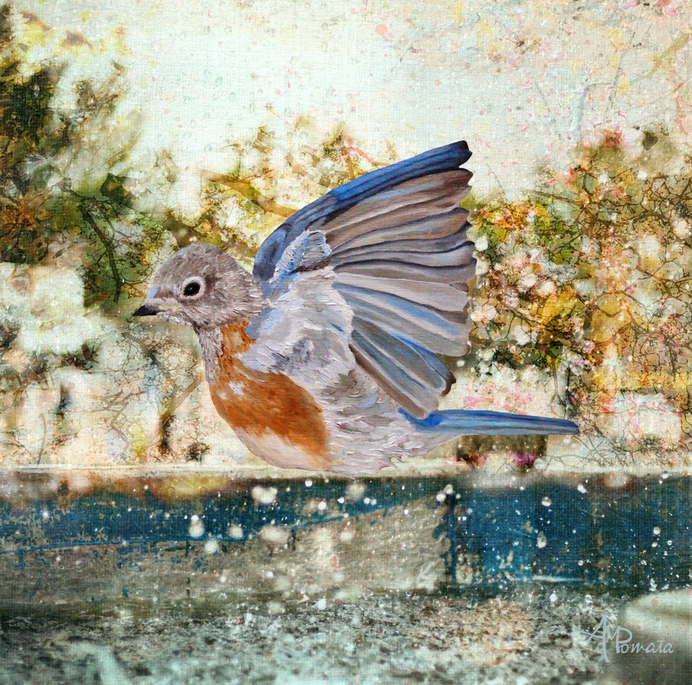  alkotó: Angeles M. Pomata