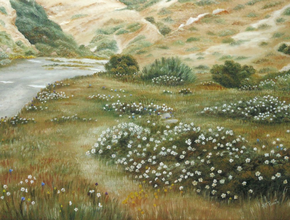  alkotó: Angeles M. Pomata
