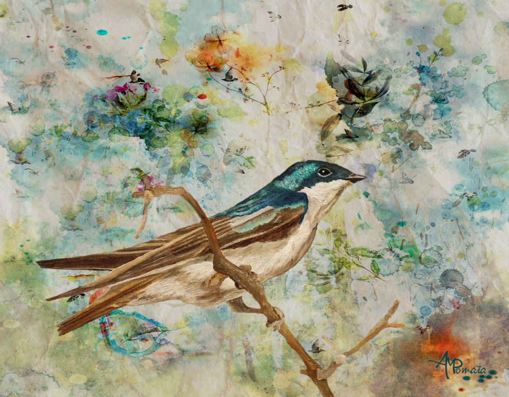  alkotó: Angeles M. Pomata