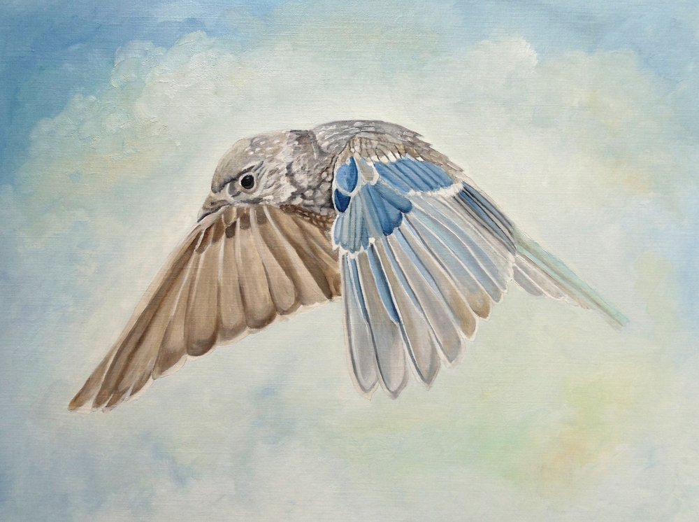  alkotó: Angeles M. Pomata