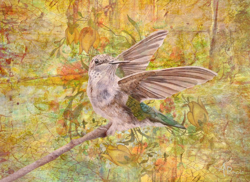  alkotó: Angeles M. Pomata