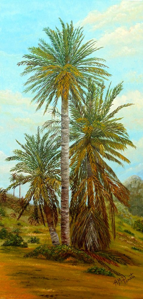  alkotó: Angeles M. Pomata
