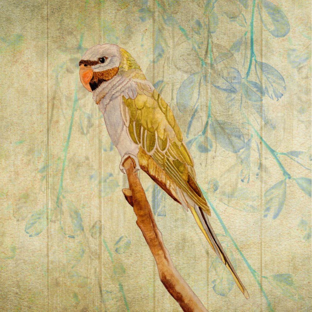  alkotó: Angeles M. Pomata