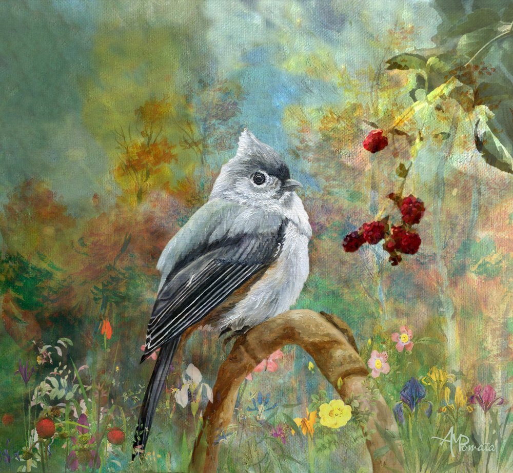  alkotó: Angeles M. Pomata