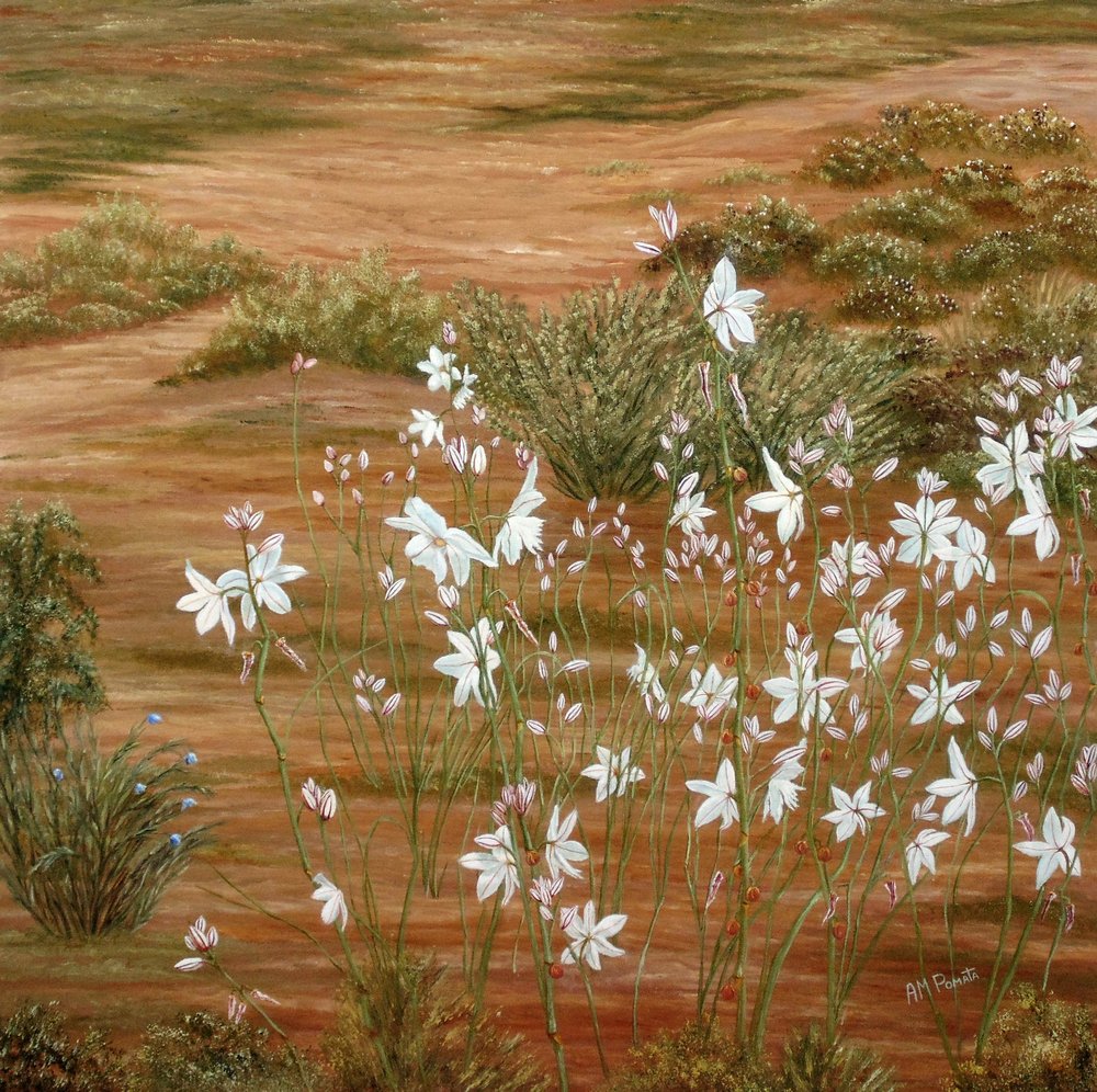  alkotó: Angeles M. Pomata