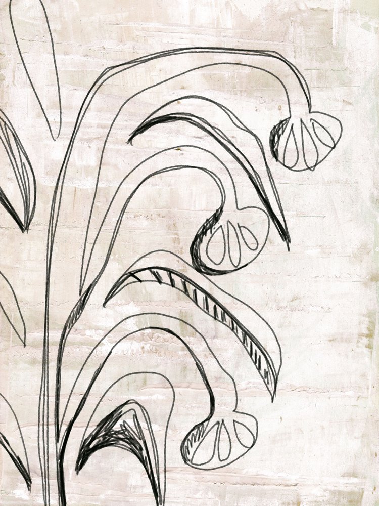 Organic Line Botanicals alkotó: Annick