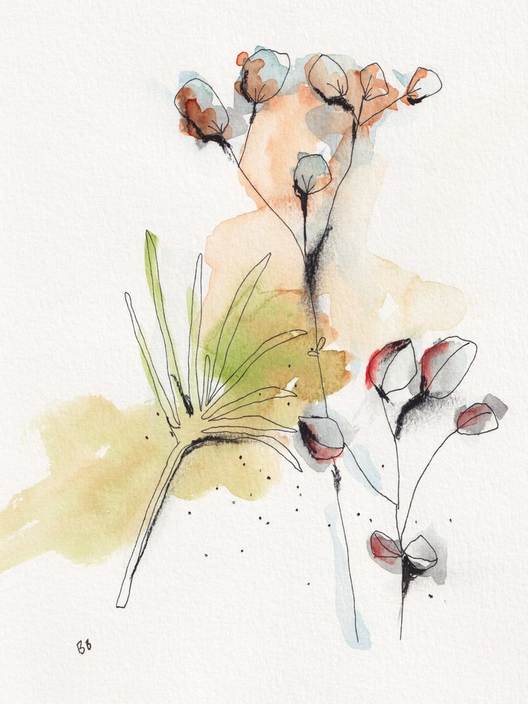  alkotó: Bronwyn Baker