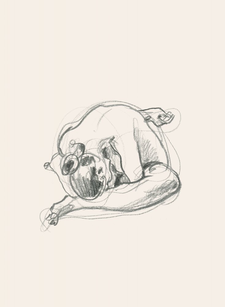 Csendes, összekuporodott alak alkotó: Catalina Somolinos