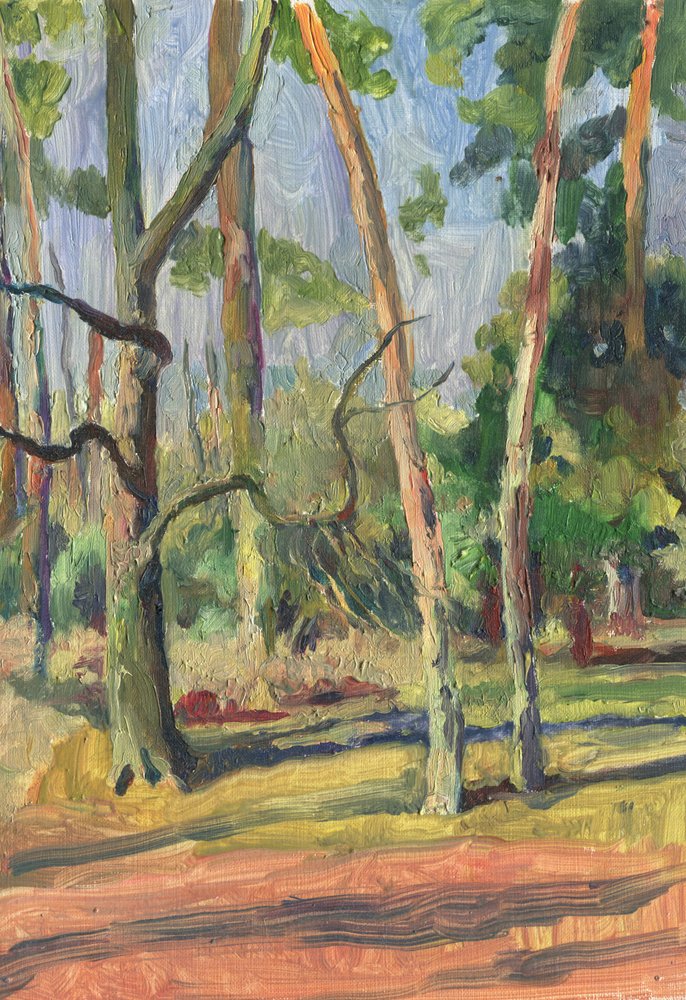 Napfényes erdei ösvény alkotó: Catalina Somolinos