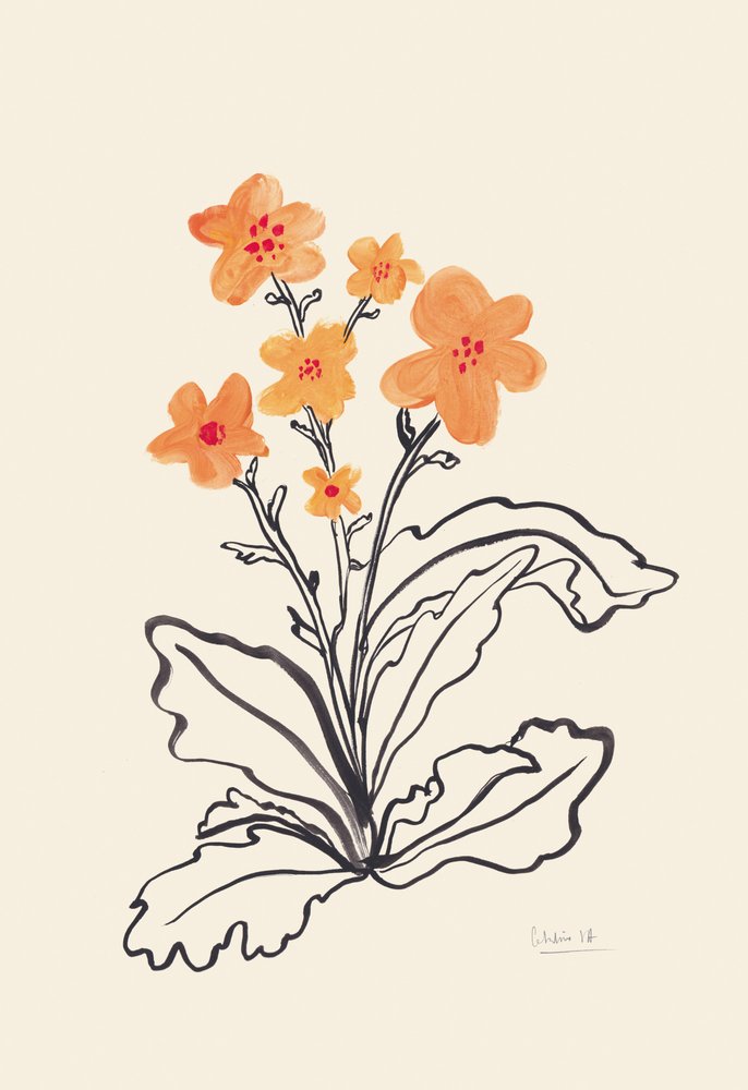 Élénk narancssárga virágok alkotó: Catalina Somolinos