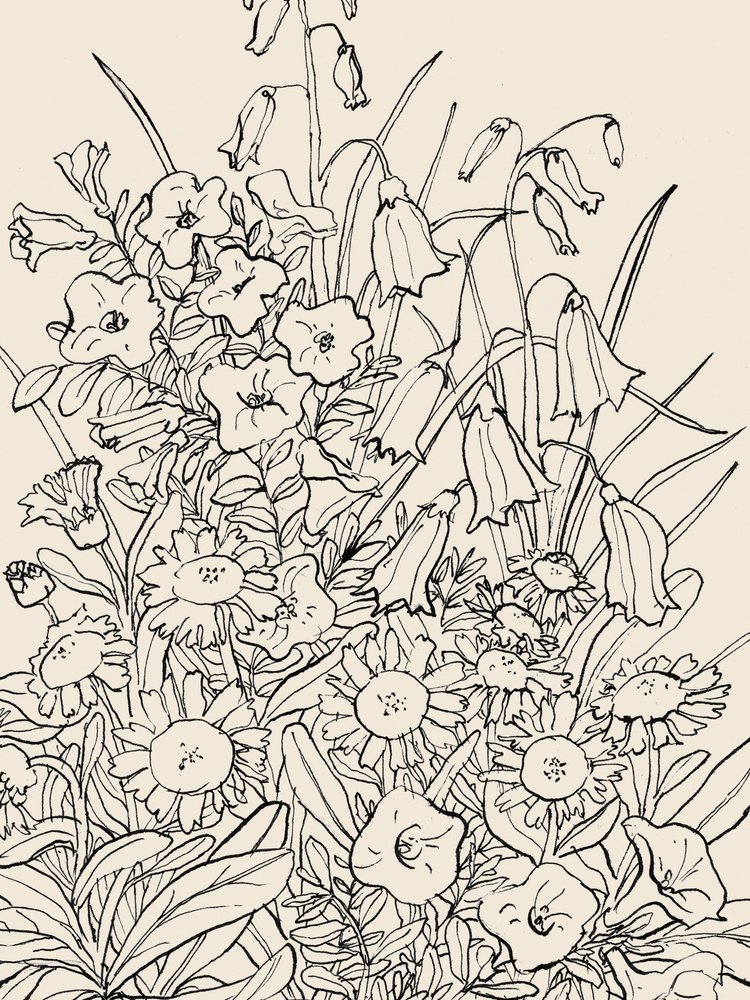 Vadvirágok alkotó: Catalina Somolinos