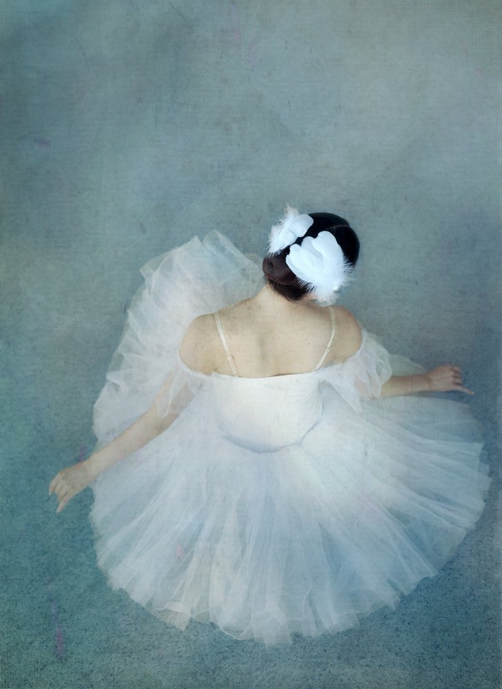 Elegáns Ballerina Swan alkotó: Catherine Wang