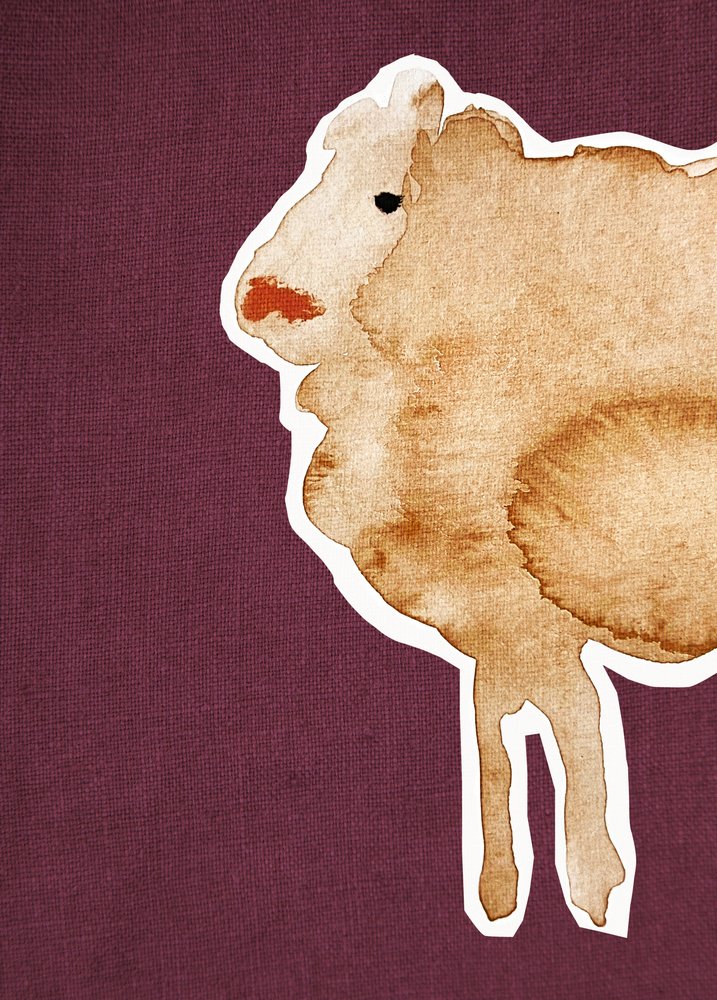 Sheep Maroon1 alkotó: Christina Misuro