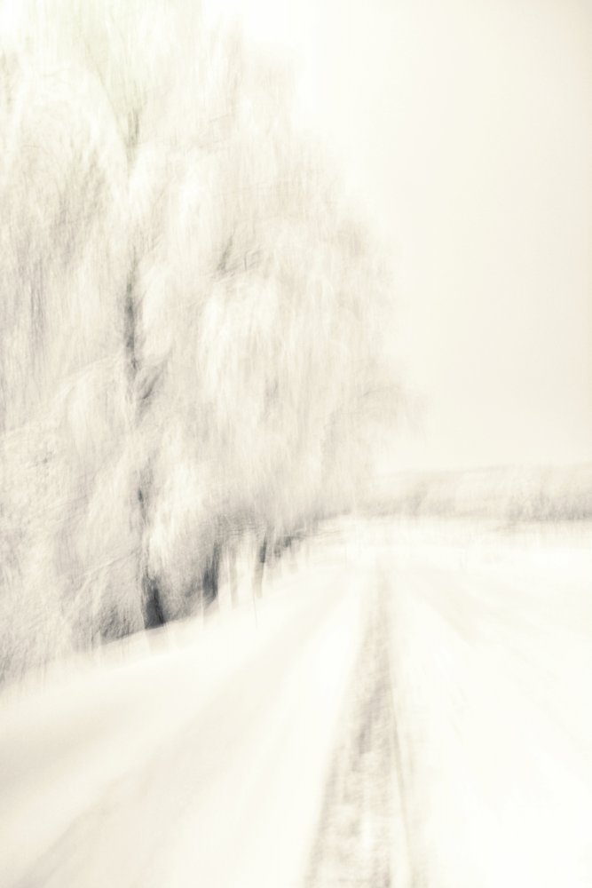 Álomszerű téli ösvény alkotó: Christina Sillen