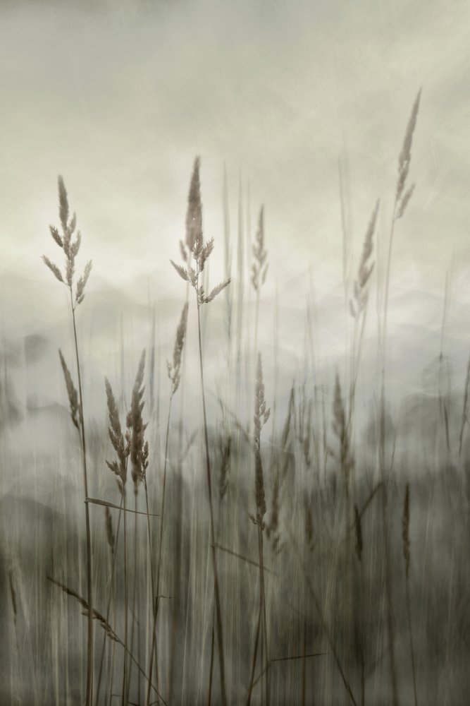  alkotó: Christina Sillen