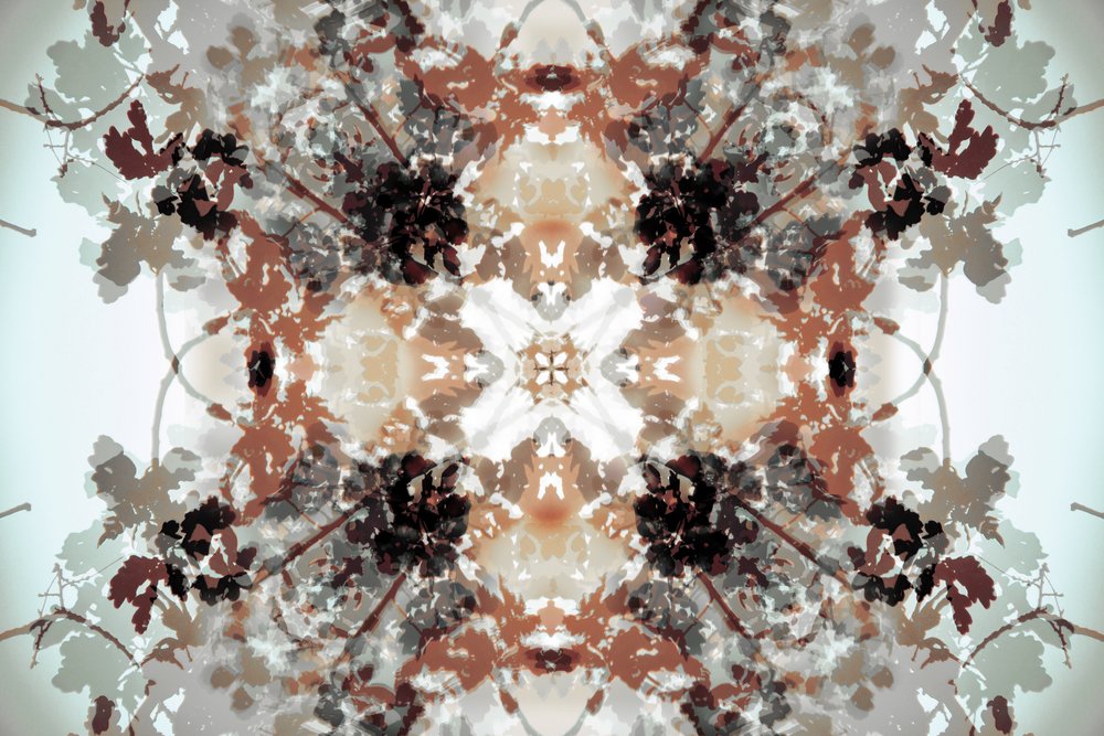 Halk botanikai kaleidoszkóp alkotó: Christina Sillen