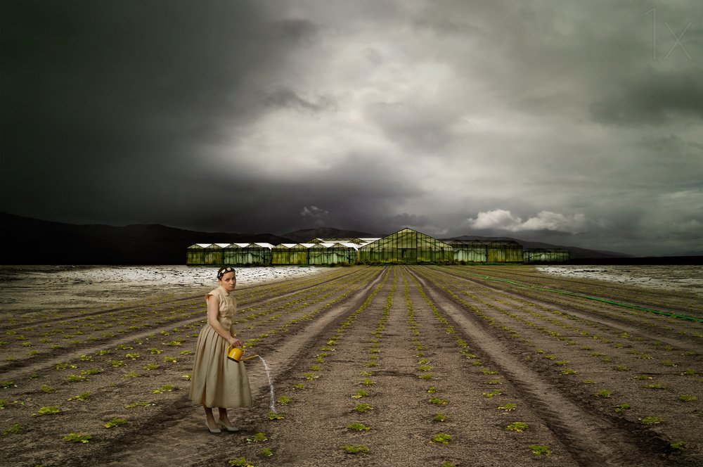 A magányos kertész, Stormy Field alkotó: Christine von Diepenbroek