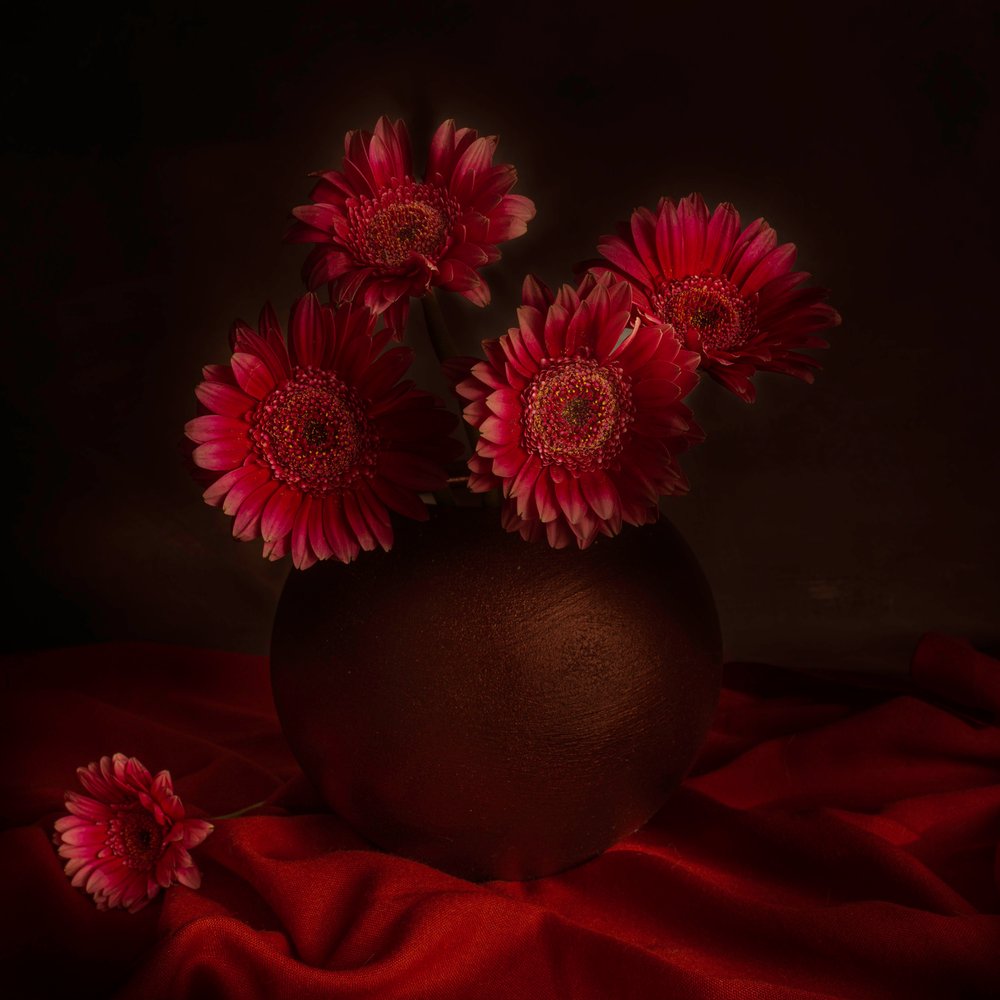 Melankolikus gerbera-csendélet alkotó: Cicek Kiral