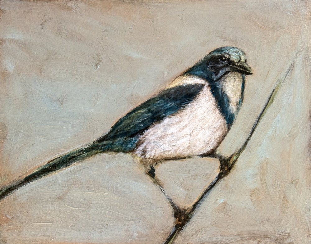  alkotó: Claire Lerner