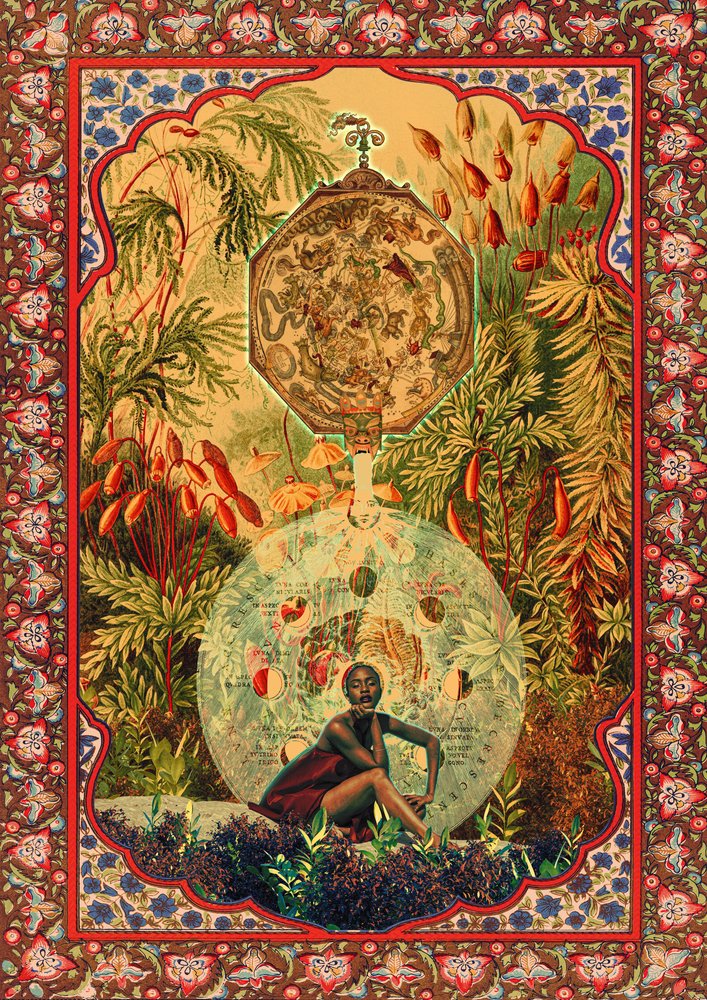  alkotó: CosmoZach