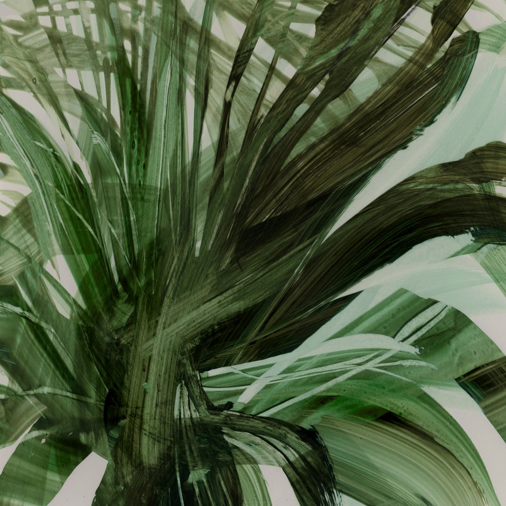 Pálmafák alkotó: Dan Hobday