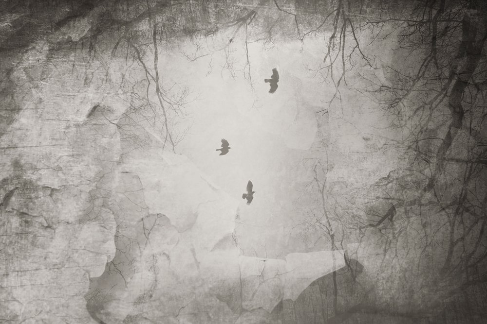  alkotó: Daniela Riegler