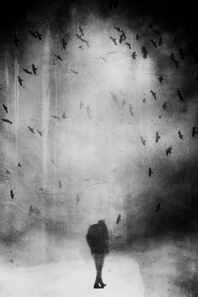  alkotó: Daniela Riegler
