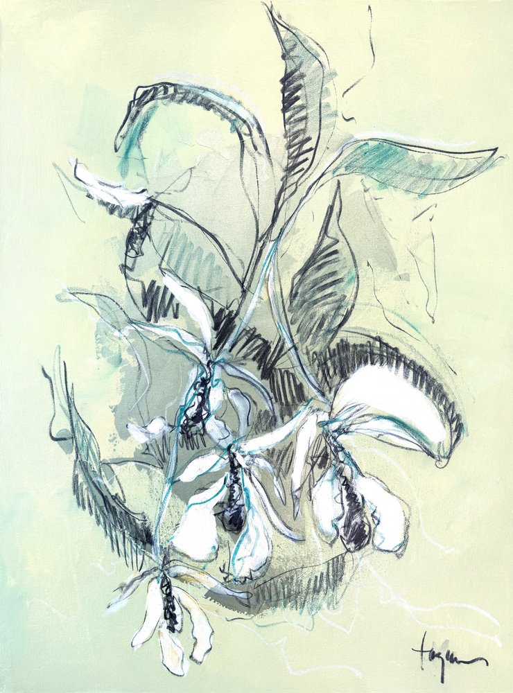 Finom orchidea-vázlat alkotó: Dorothy Fagan