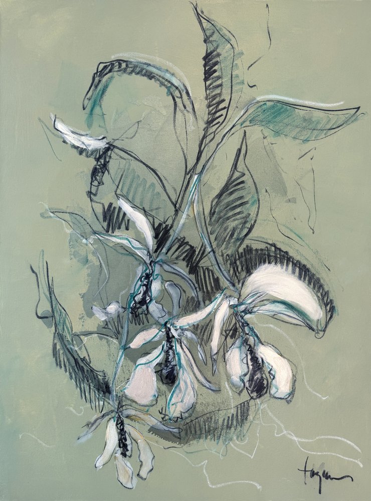 Elegáns orchidea-vázlat alkotó: Dorothy Fagan
