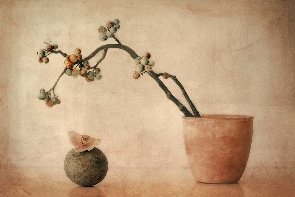 Földes bogyós gyümölcsök és orchidea alkotó: Elena Arjona