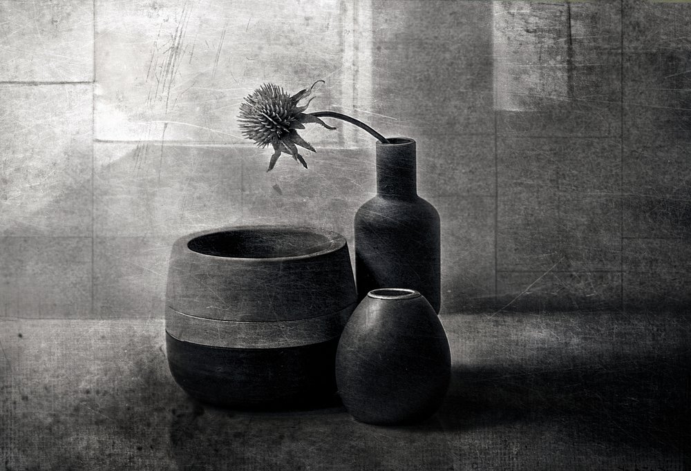 A Moody Thistle hajói alkotó: Elena Arjona