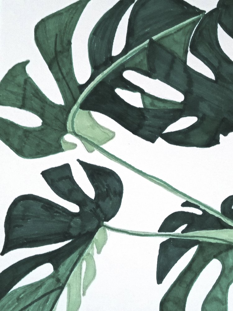 Absztrakt zöld monstera alkotó: Elizabeth C