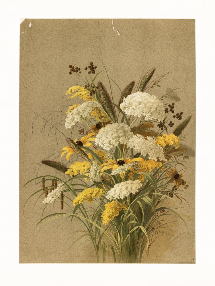 Hemlock, szarvasfű és aranyvessző alkotó: Ellen Thayer Fisher