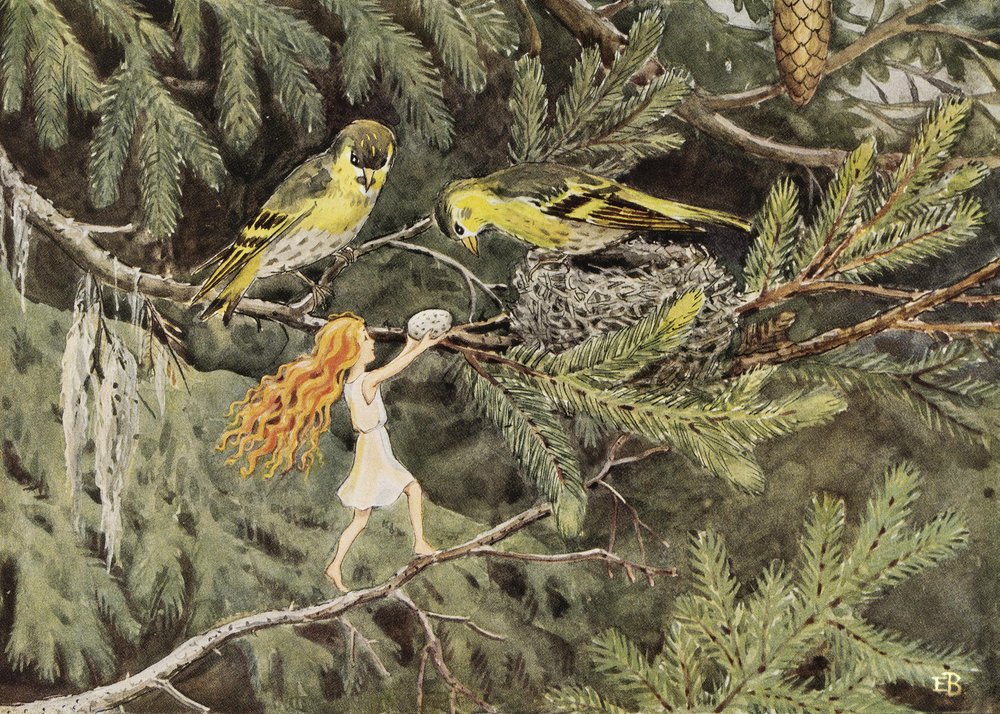 A Naptojás (1932) A madarak alkotó: Elsa Beskow