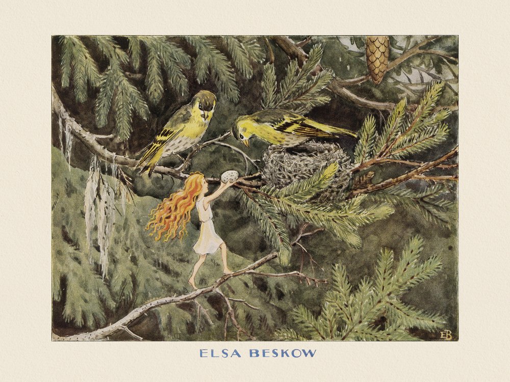 A Naptojás – A madarak alkotó: Elsa Beskow
