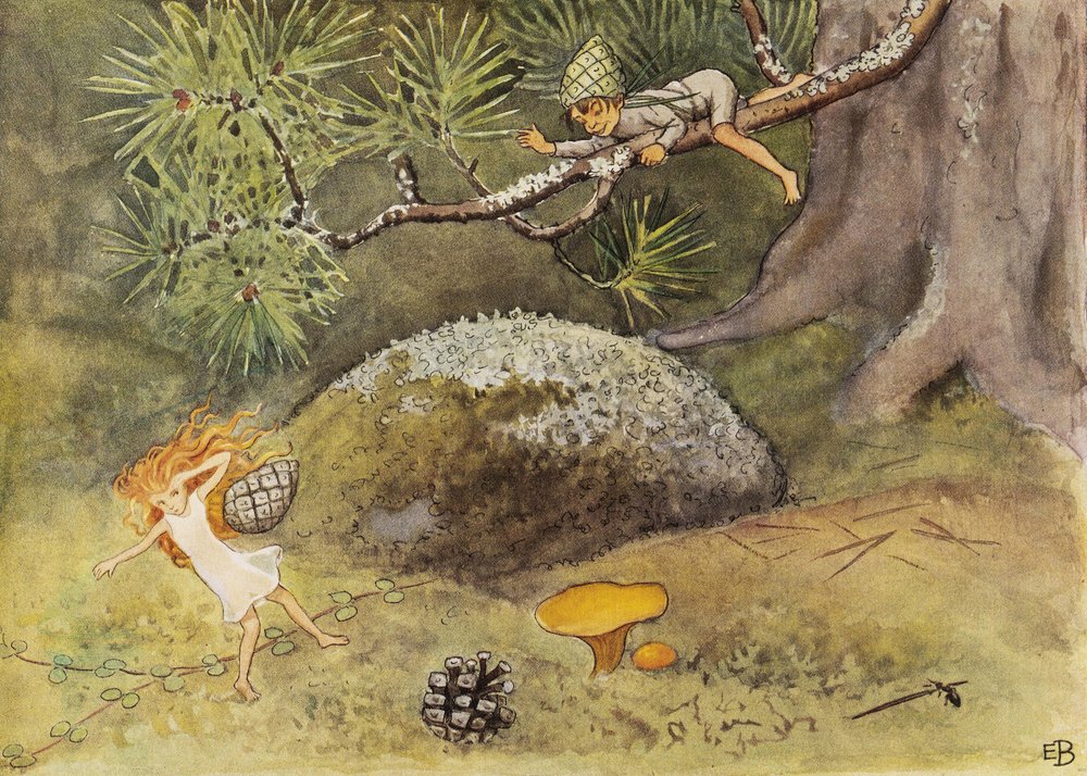 A Naptojás és a Tölgytobozok (1932) alkotó: Elsa Beskow