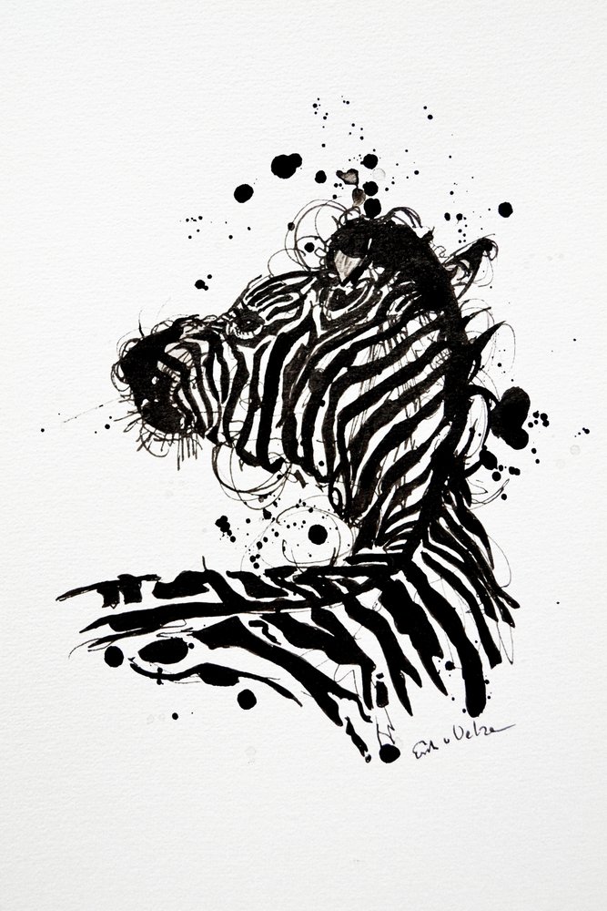 Vad zebra tintacsepp alkotó: Erik Van Velzen