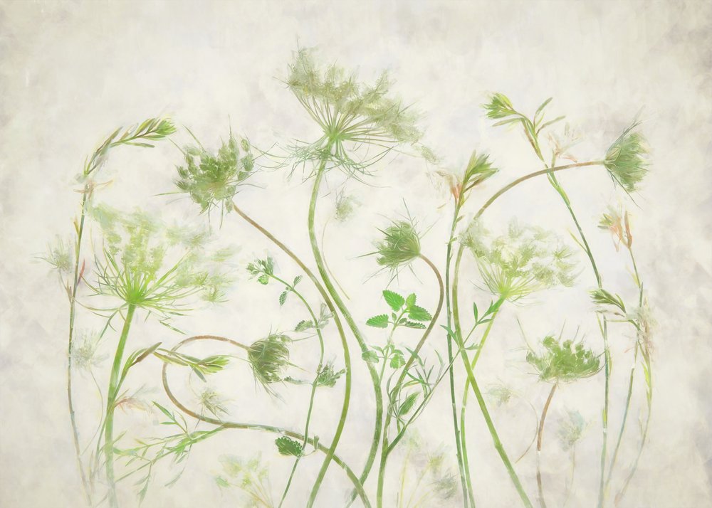 Soft Green Botanicals alkotó: Fangping Zhou
