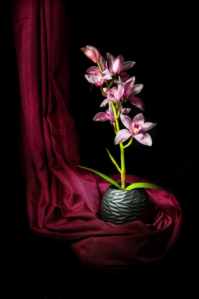 Elegáns rózsaszín orchidea alkotó: Felice Angelino