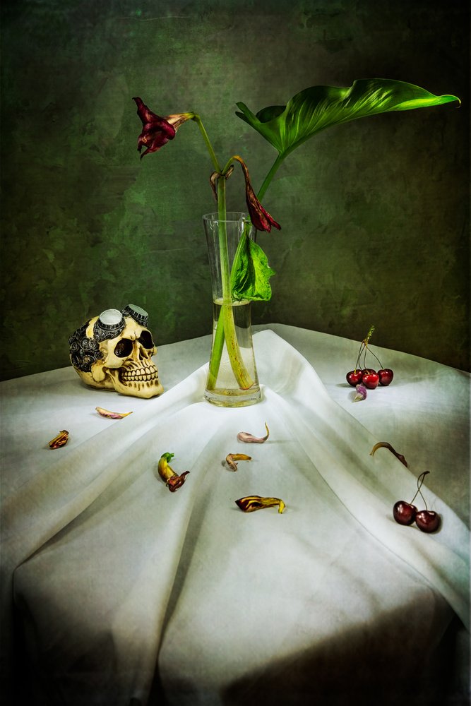 Gótikus koponya – Vanitas alkotó: Felice Angelino