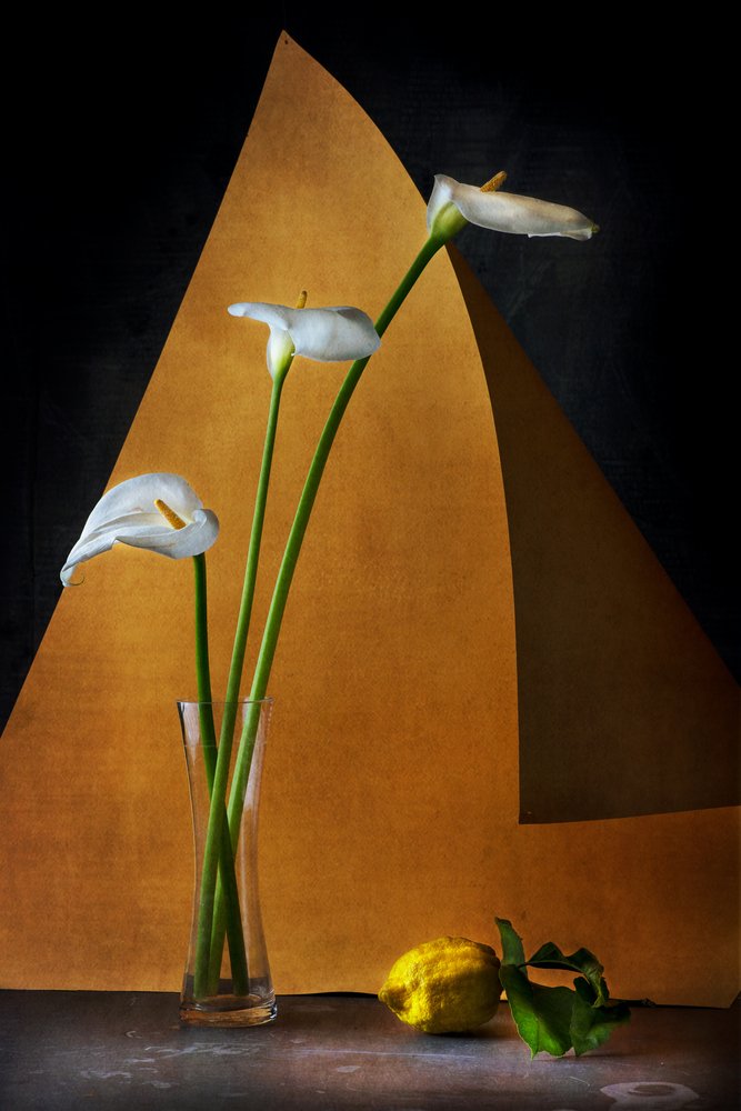  alkotó: Felice Angelino
