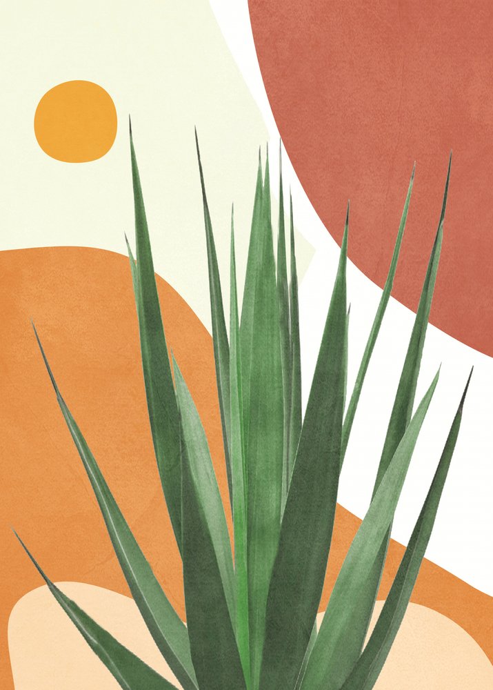 Modern sivatagi agave alkotó: Flow Line