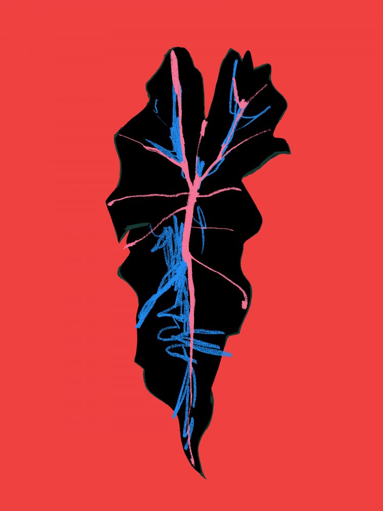  alkotó: Francesco Gulina
